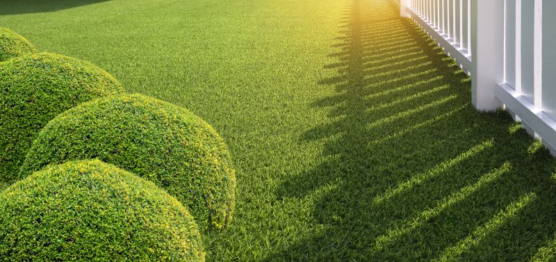 Artificial Lawn Installation