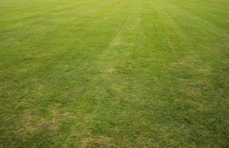 Lawn Landscaping detail