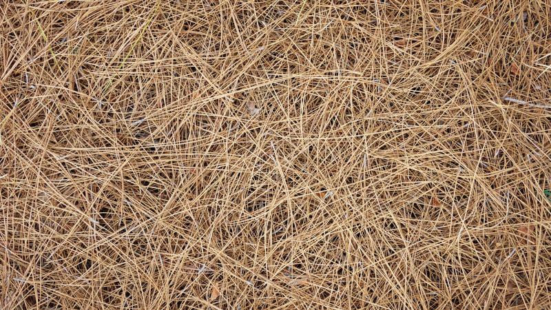 Straw Mulching Service