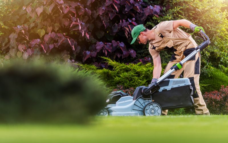 Lawn Care Experts