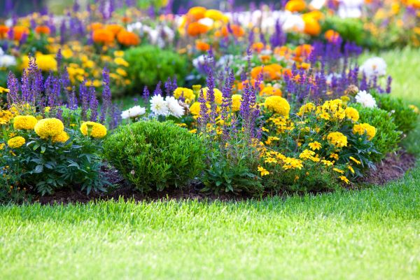 Flower Bed Maintenance in Aurora
