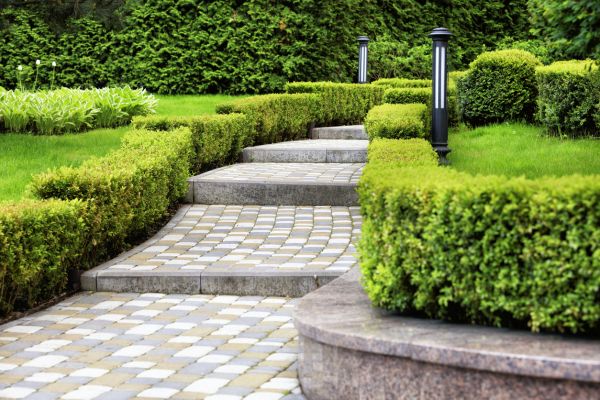 Backyard Remodeling in Aurora