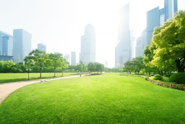 Commercial Landscape Maintenance in Aurora