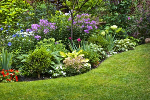 Flower Bed Service in Aurora