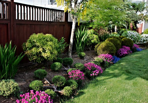 Garden Care Service in Aurora