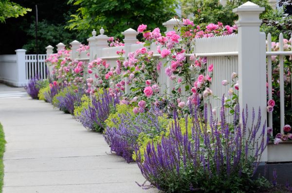 Garden Handyman Service in Aurora