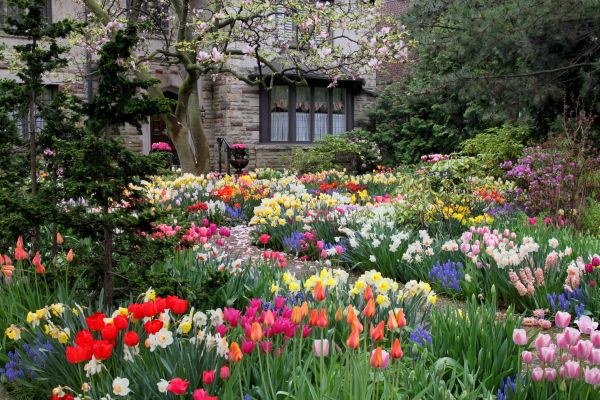 Garden Maintenance Service in Aurora