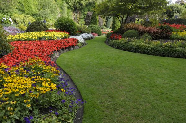 Landscaping Maintenance in Aurora