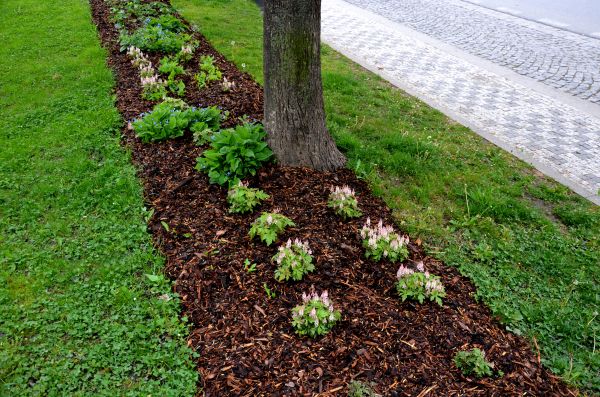 Mulch Replacement Service in Aurora