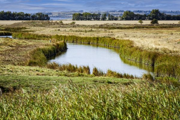 Swale Landscaping in Aurora