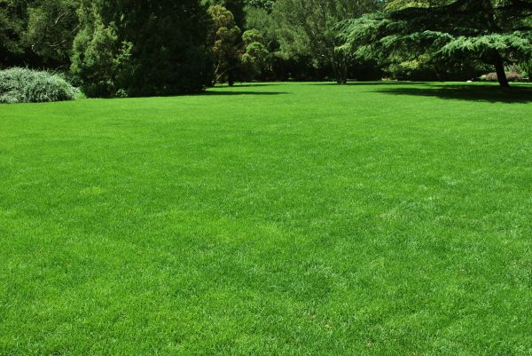 Lawn Landscaping in Aurora