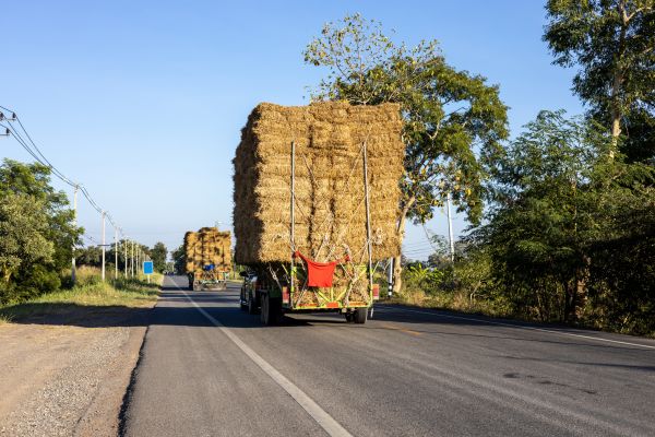 Pine Straw Delivery in Aurora