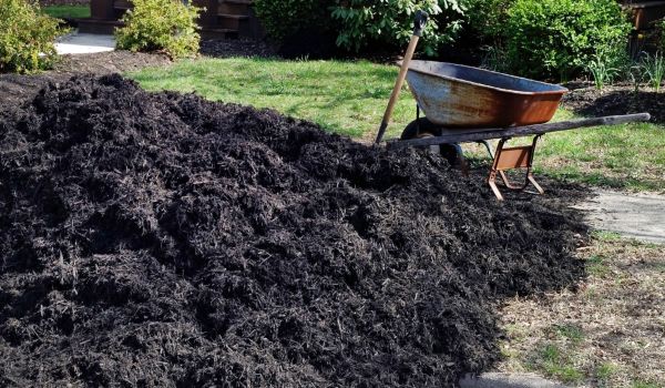 Black Mulch Delivery in Aurora