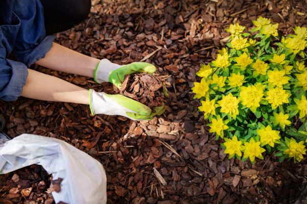 Garden Mulching in Aurora