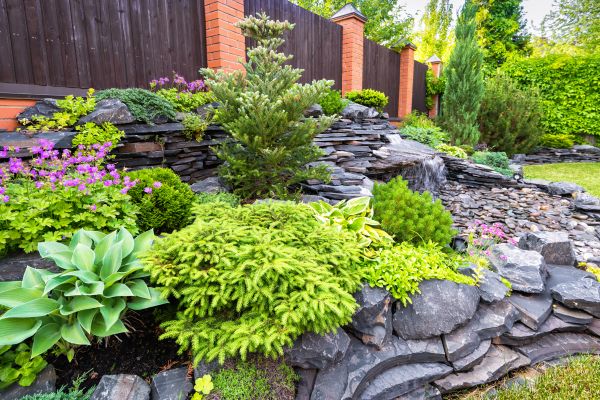 Landscape Remodeling in Aurora