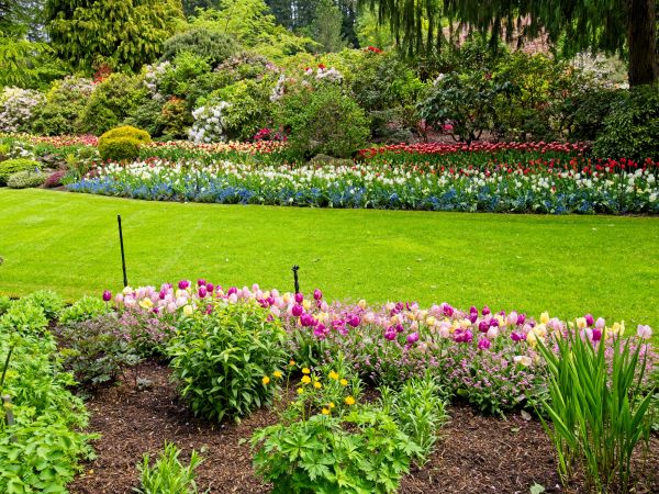 Residential Landscape Design in Aurora