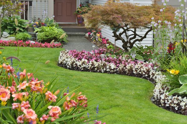 Perennial Landscaping in Aurora