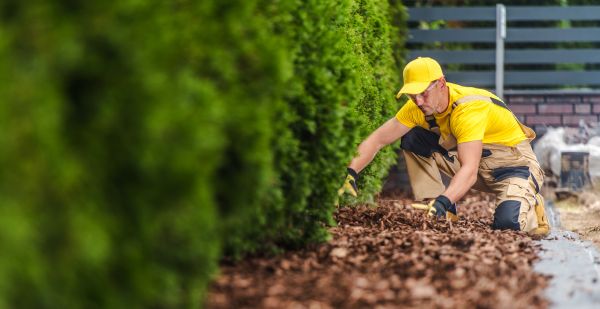 Cypress Mulch Installation in Aurora