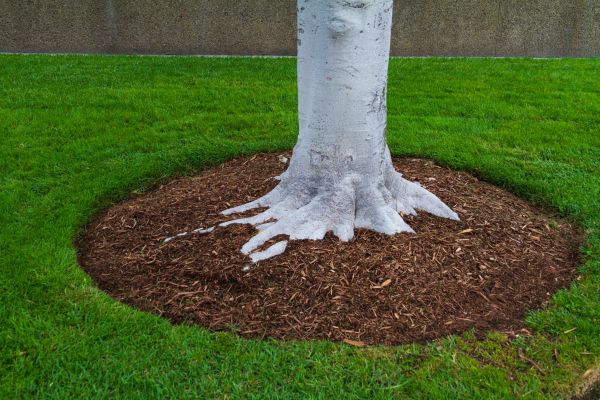 Brown Mulch Installation in Aurora
