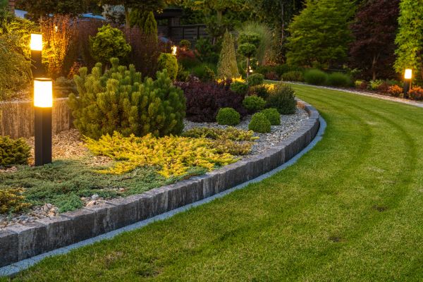Garden Repair Service in Aurora