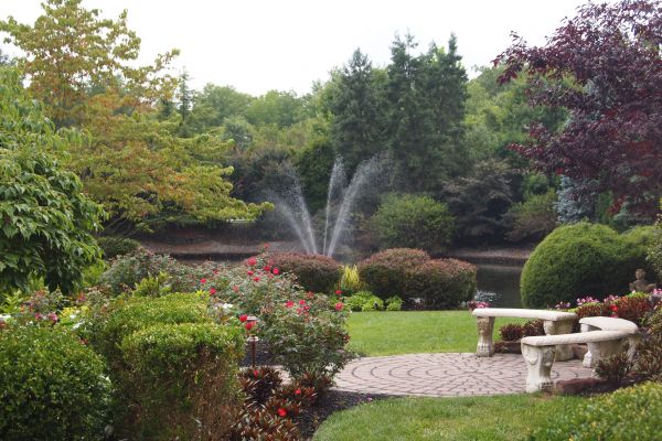 Courtyard Design Service in Aurora