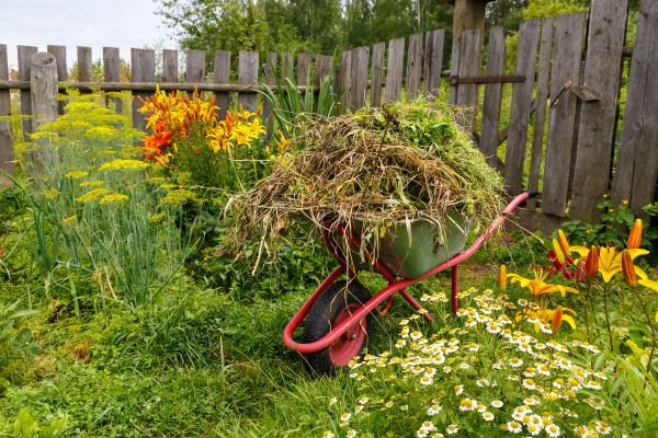 Garden Cleanup Service in Aurora