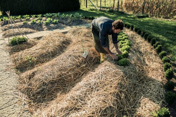 Straw Mulching Service in Aurora