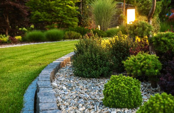 Landscaping Service in Aurora