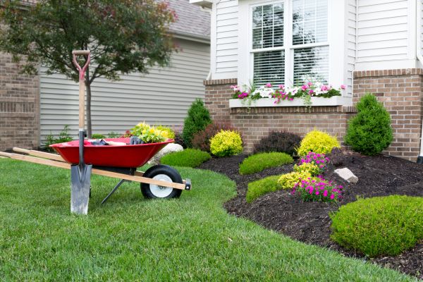 Tree And Shrub Planting in Aurora