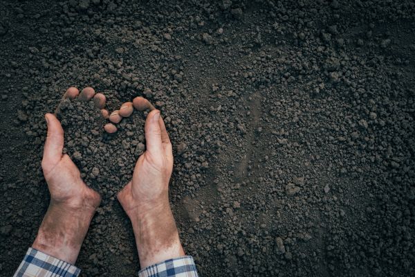 Soil Installation in Aurora
