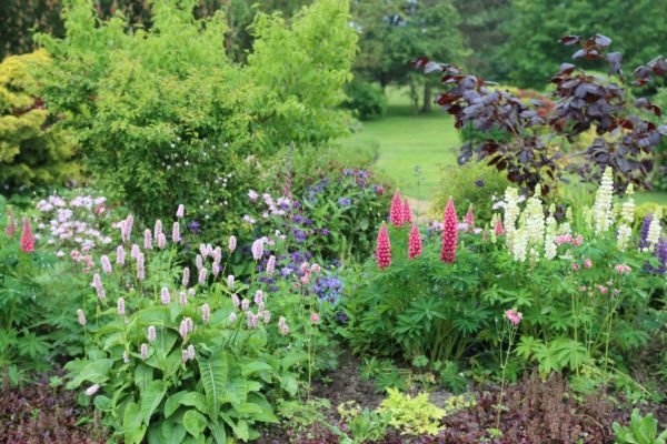 Flower Bed Planting in Aurora