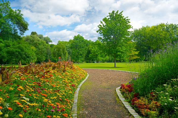 Park Landscaping in Aurora