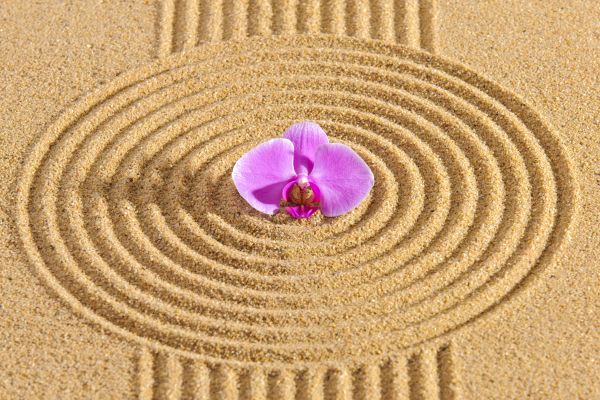 Sand Garden Landscaping in Aurora
