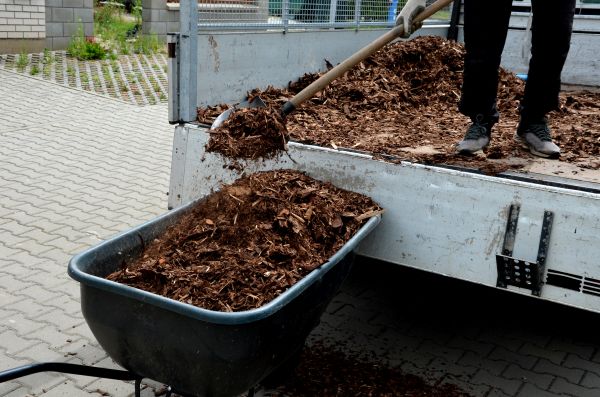 Cypress Mulch Delivery in Aurora