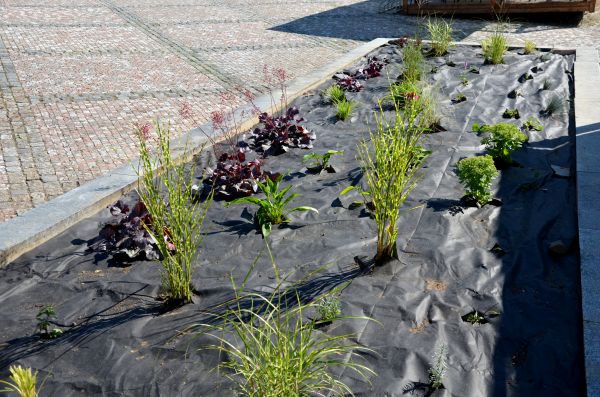 Landscape Fabric Installation in Aurora