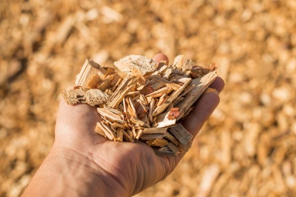 Wood Chips Spreading in Aurora