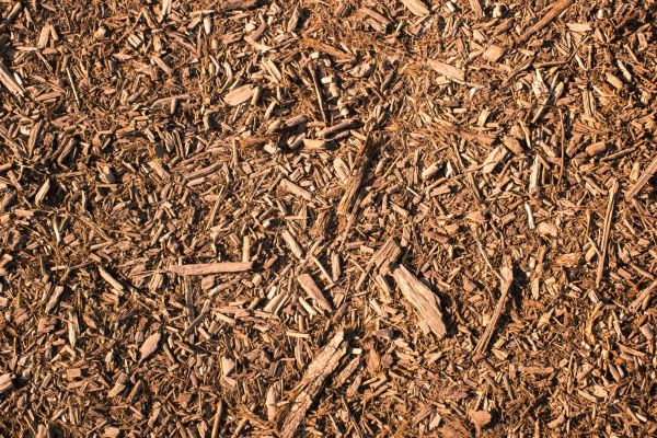 Wood Chips Removal in Aurora