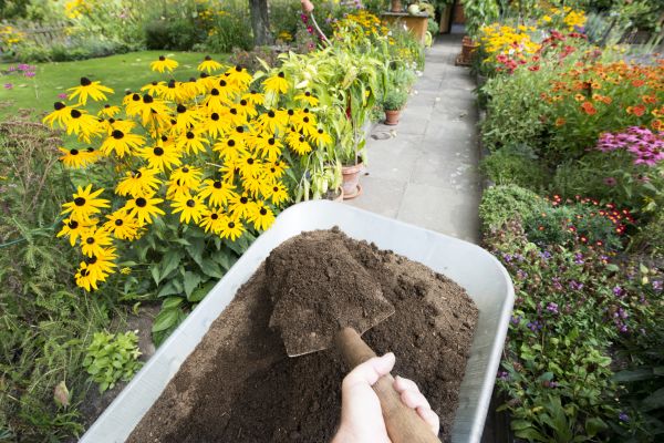 Topsoil Replacement in Aurora
