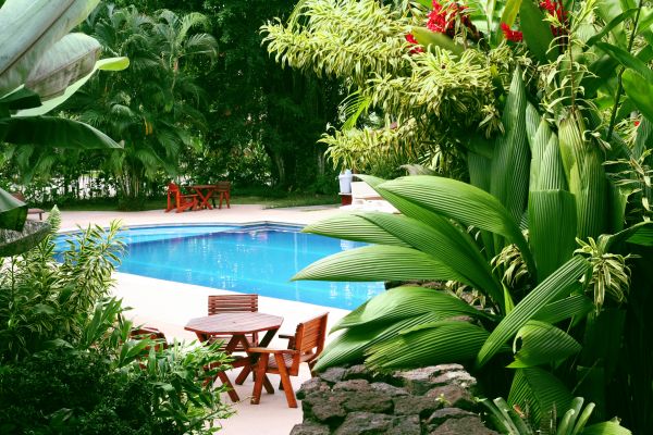 Pool Area Landscaping in Aurora