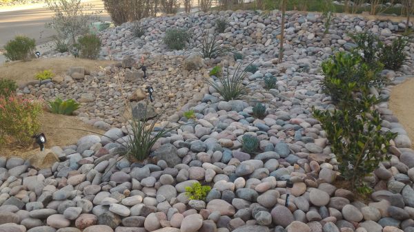 Yard Xeriscaping in Aurora