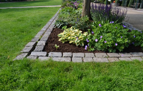 Flower Bed Mulching in Aurora