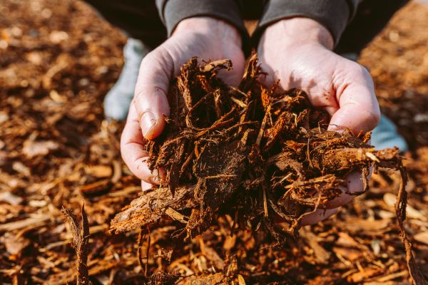 Bark Chips Delivery in Aurora