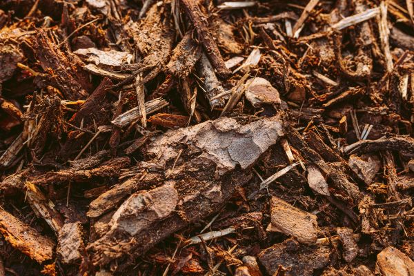 Bark Mulch Delivery in Aurora