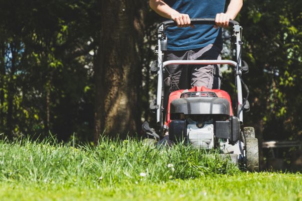 Garden Trimming Service in Aurora