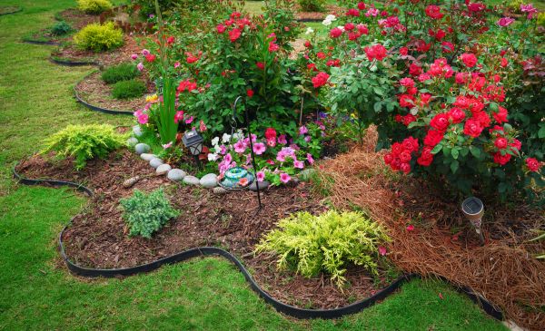 Floral Landscaping in Aurora