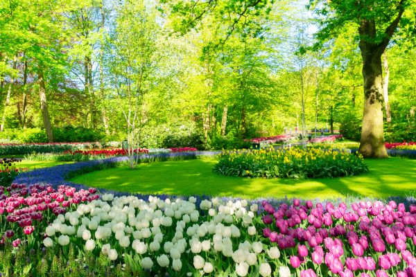 Flower Landscaping in Aurora