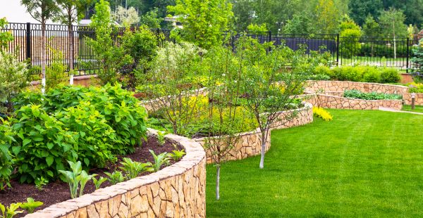 Yard Makeover Service in Aurora