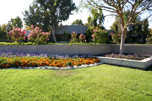 Commercial Landscape Service in Aurora