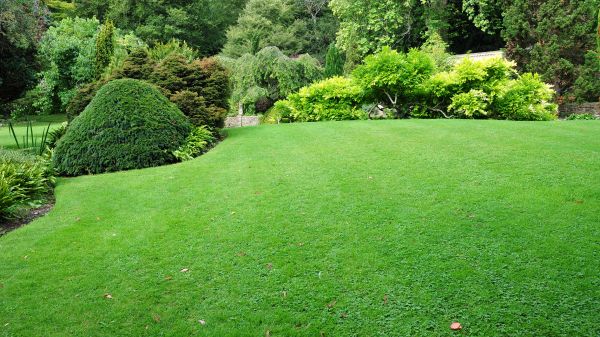 Commercial Landscape Design in Aurora