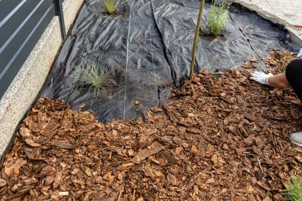 Pine Bark Spreading in Aurora